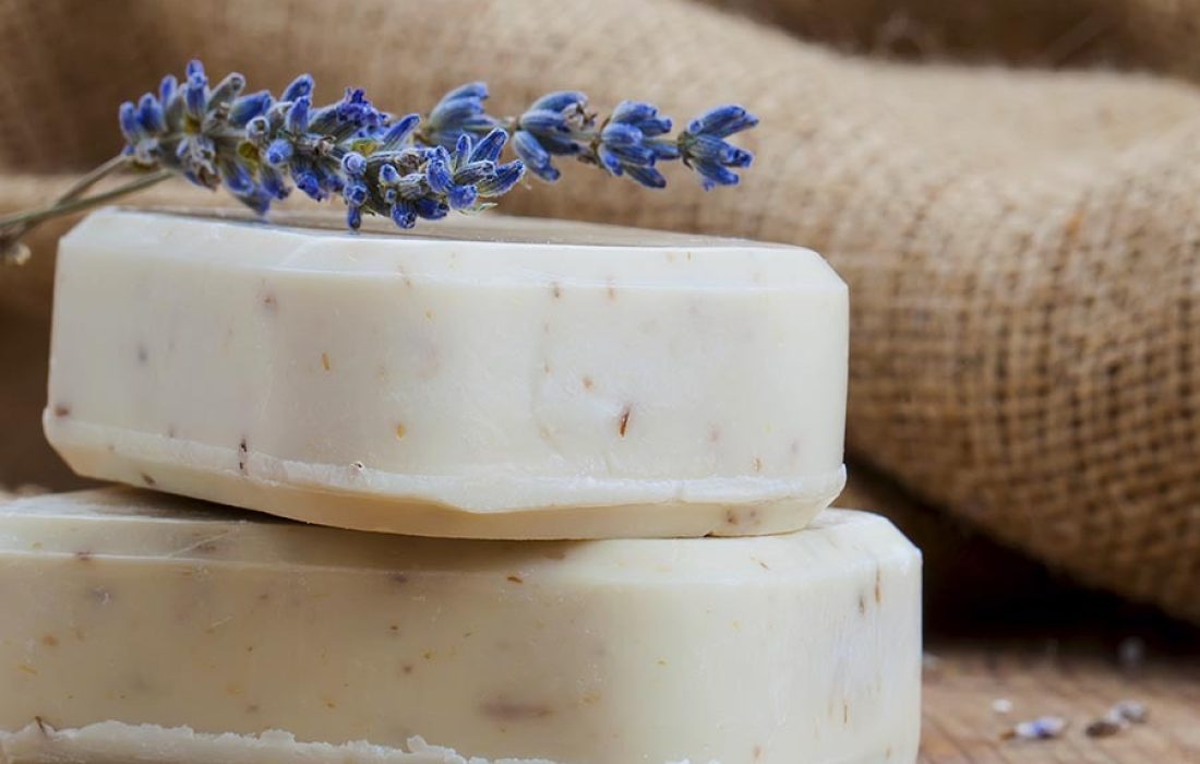 Tursoria rutas con guia Visita Soria