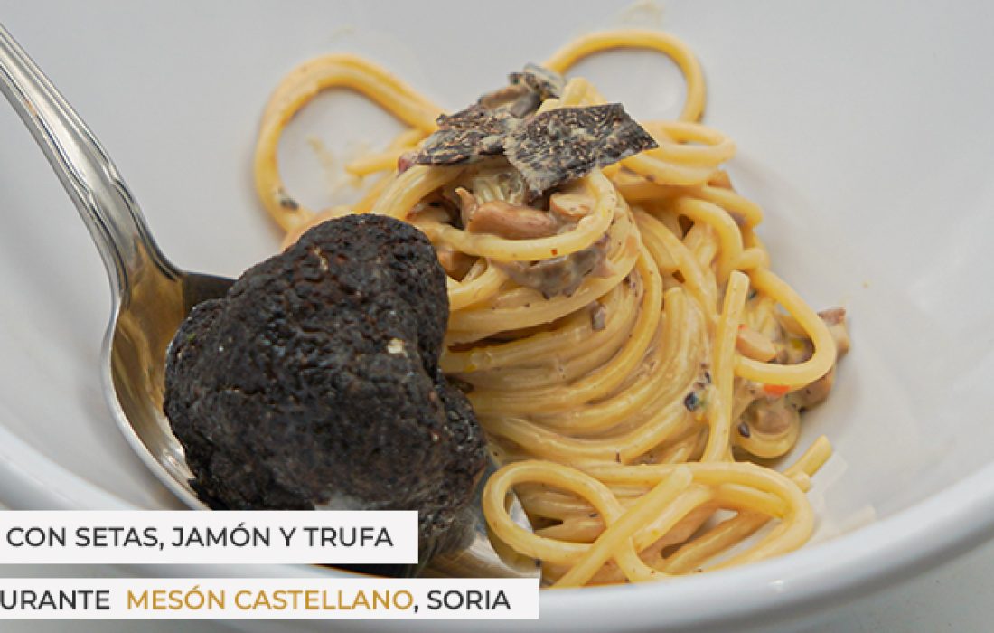 ruta dorada de la trufa. Tursoria