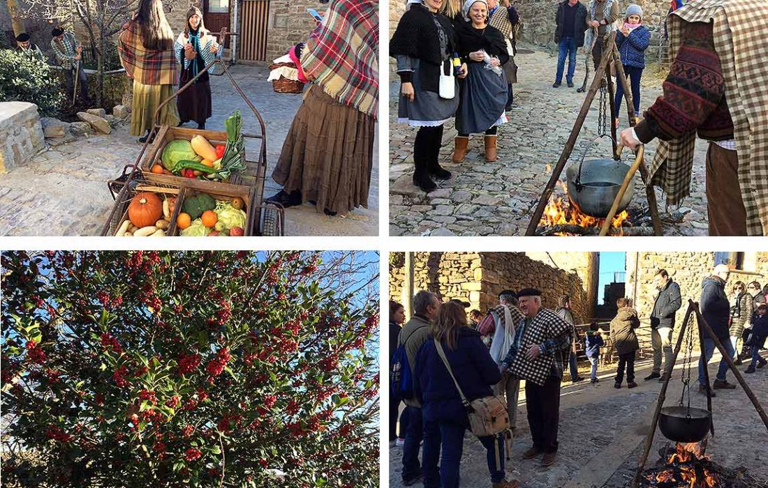 Tursoria acebo Oncala