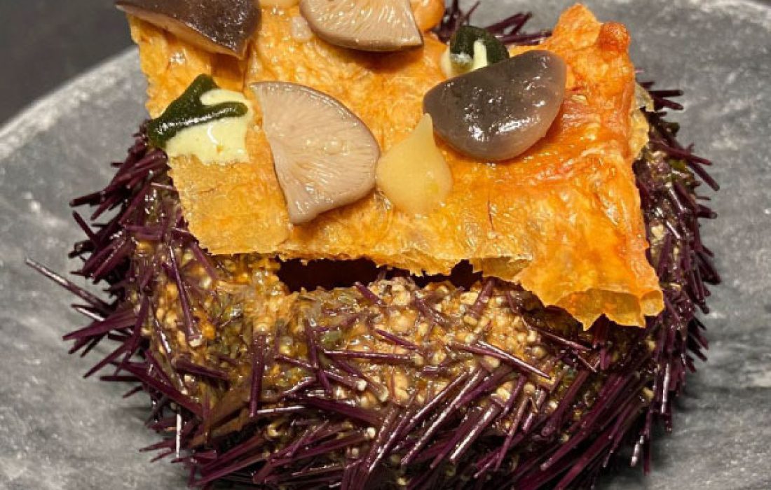 Tursoria. Jornada buscasetas