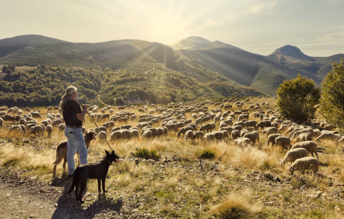 pandetrave-01_NoticiaAmpliada