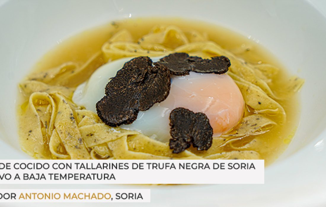 ruta dorada de la trufa. Tursoria