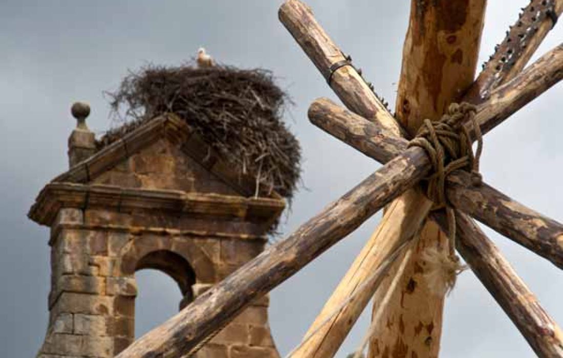tursoria la pingada del mayo en molinos de duero