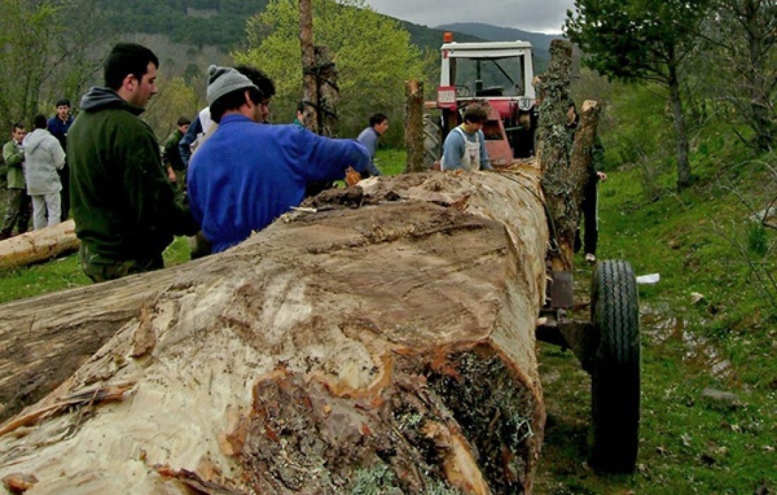 tursoria la pingada del mayo en molinos de duero