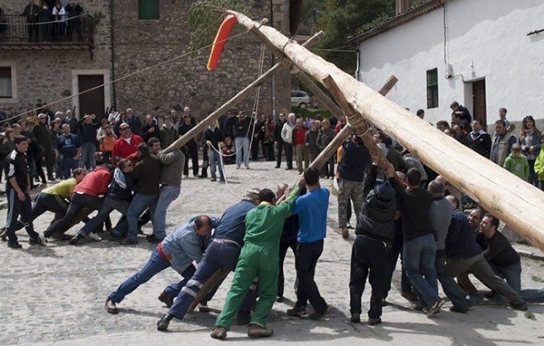 tursoria la pingada del mayo en molinos de duero
