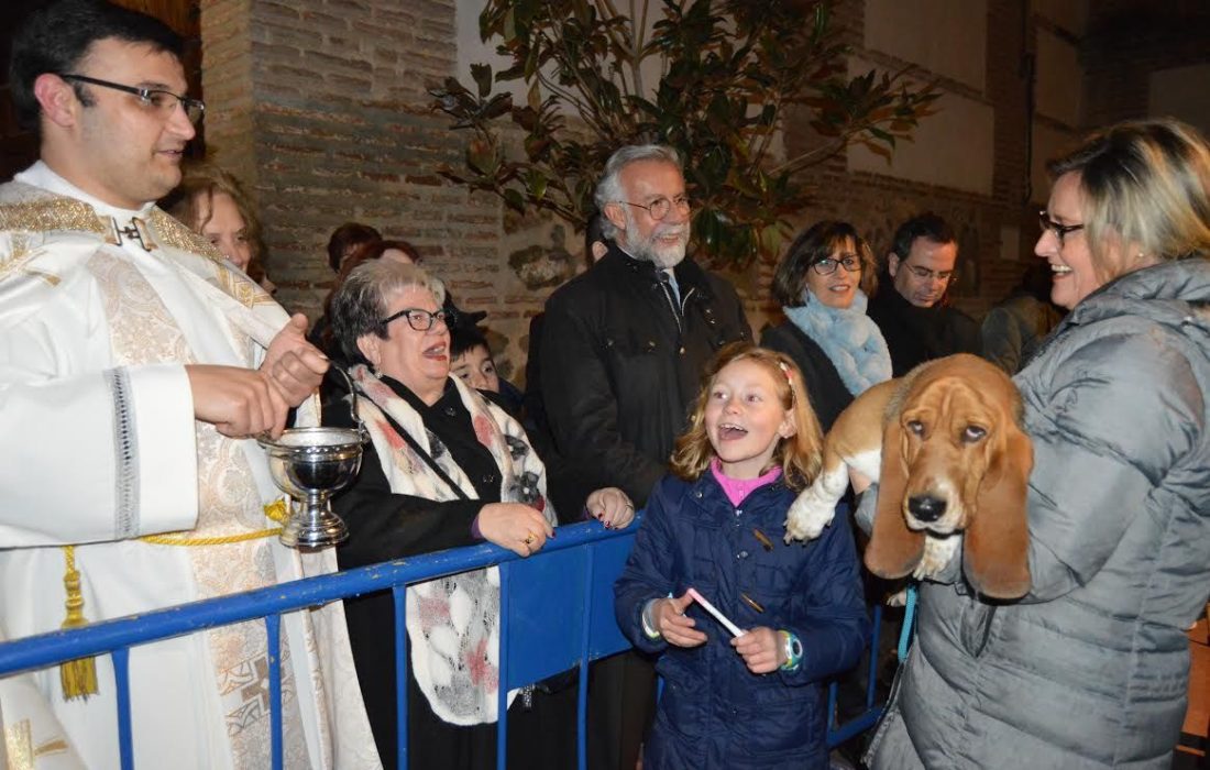 Bendicion de los animales en San Anton. Tursoria