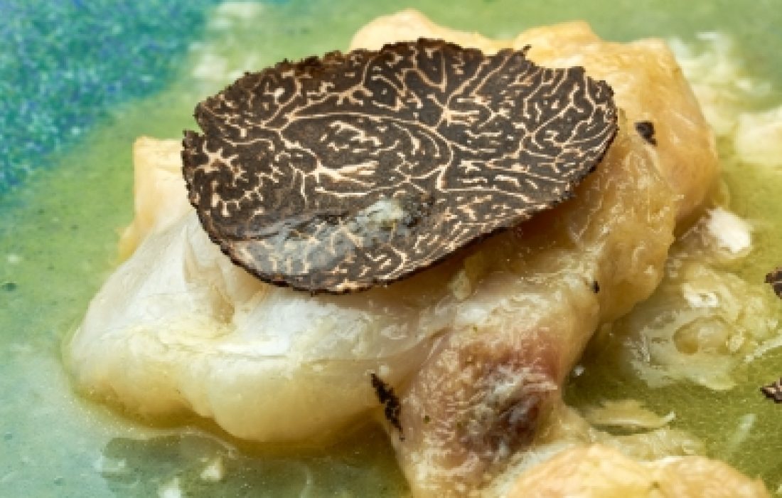 Feria de la Trufa de Soria" en Abejar