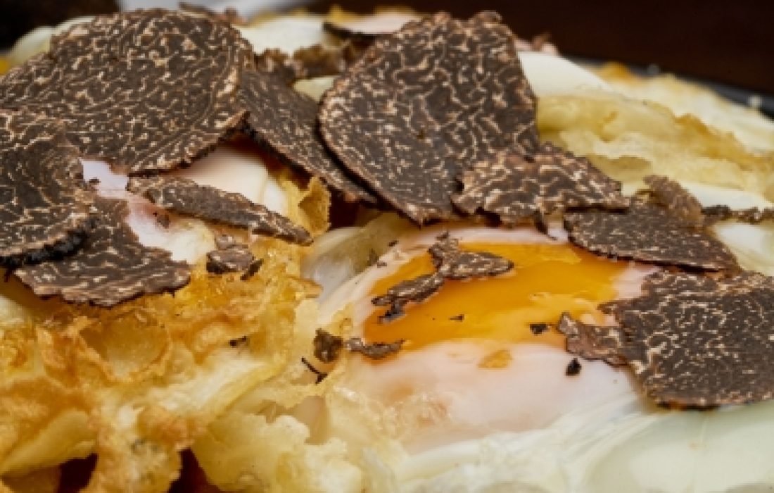 Feria de la Trufa de Soria" en Abejar