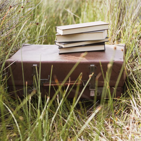 suitcase-with-books-top-grass