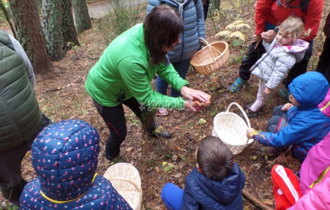 Ruta micologica en Ágreda. Tursoria