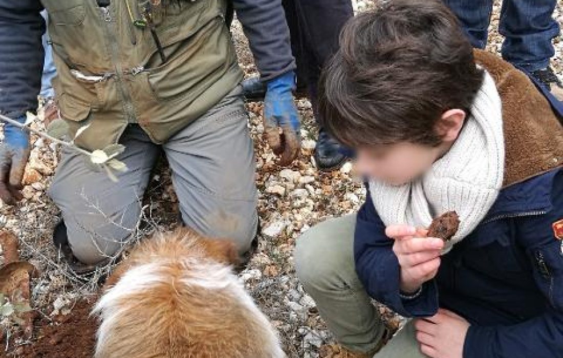 A la caza de la trufa". Tursoria