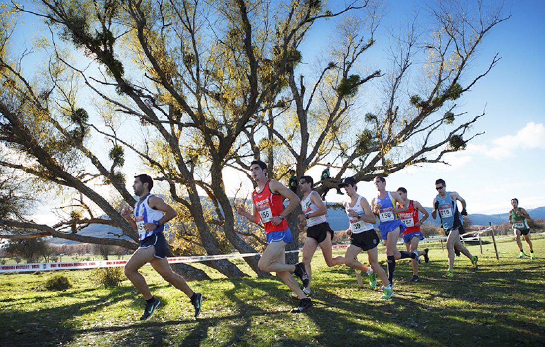 Campo a traves internacional Soria. Tursoria