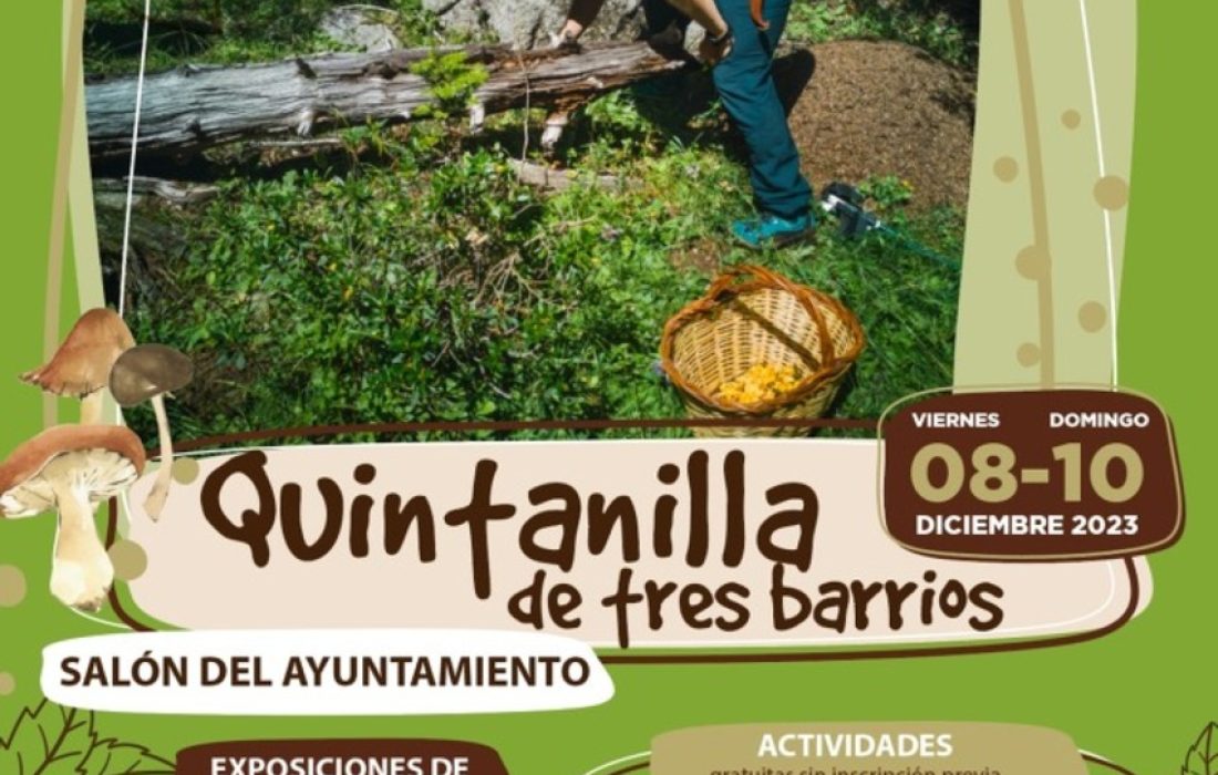 Ruta micologica y taller de reposteria en Quintanilla de tres barrios. Tursoria
