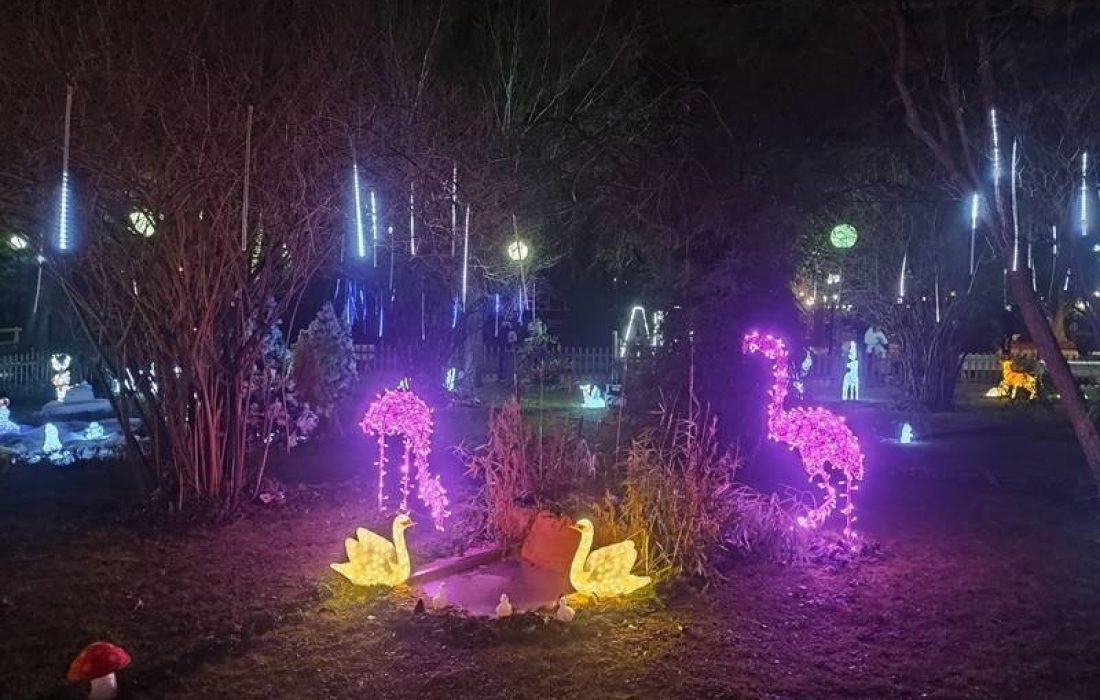 zoo de luz en Soria. Tursoria